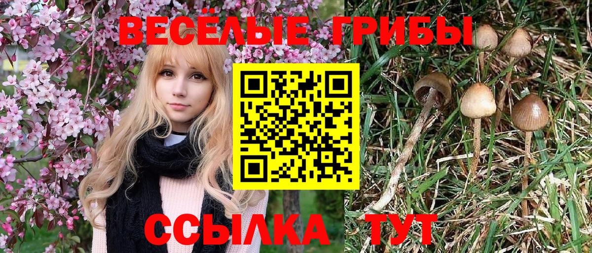 Галлюциногенные грибы GOLDEN TEACHER  наркота  Чехов  Вход с VPN 