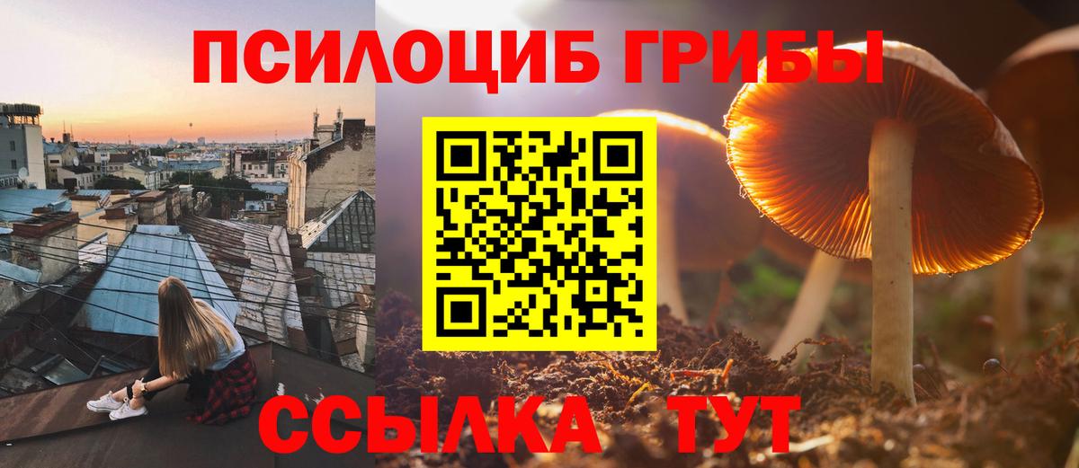 Псилоцибиновые грибы мухоморы Чехов